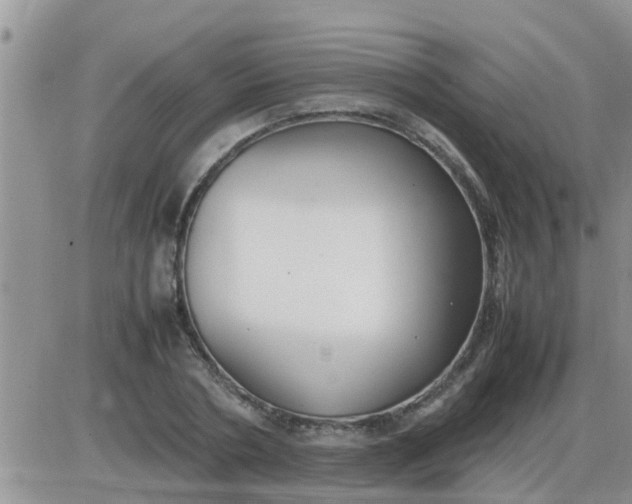 X0000085310786200703231922