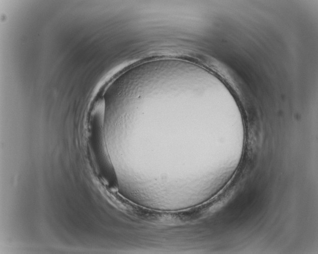 X0000085310787200703231922