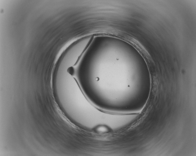 X0000085310788200703231922