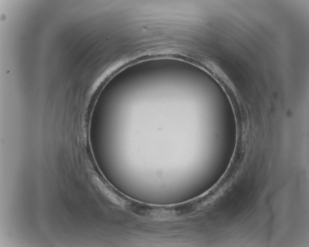 X0000085310789200703231922