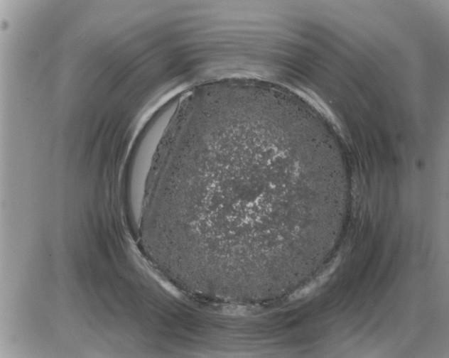 X0000085310790200703231922