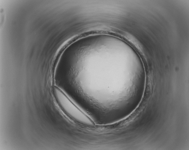 X0000085310791200703231922