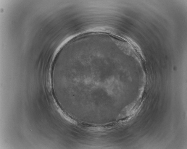 X0000085310792200703231922