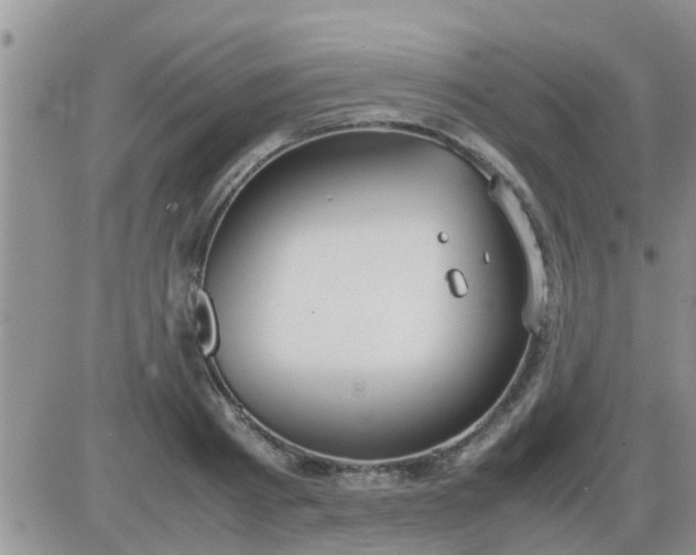 X0000085310793200703231922