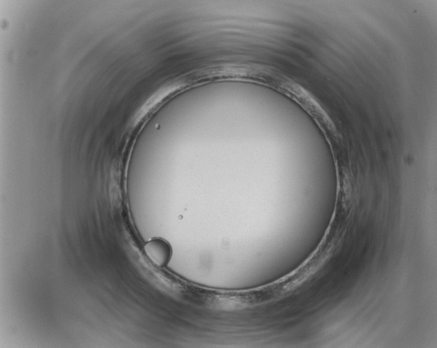 X0000085310794200703231922