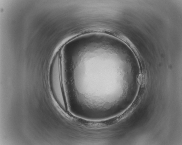 X0000085310795200703231922