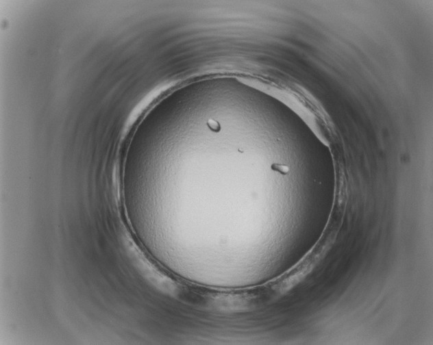 X0000085310796200703231922