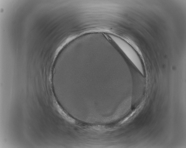 X0000085310797200703231922