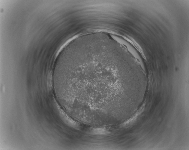 X0000085310798200703231922