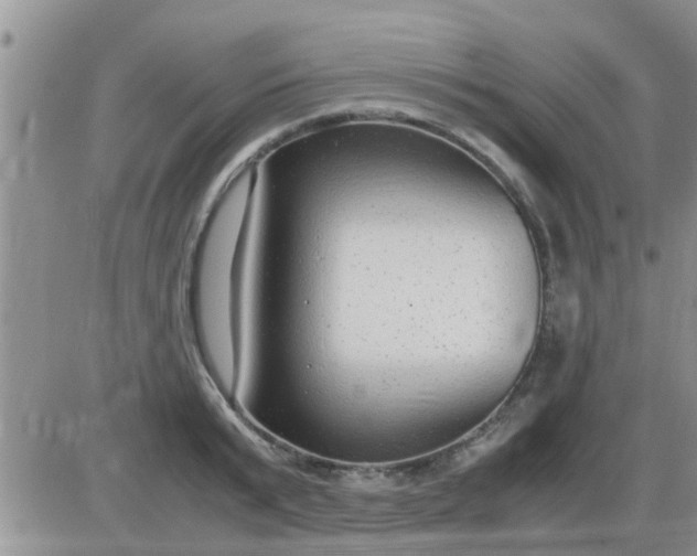 X0000085310799200703231922