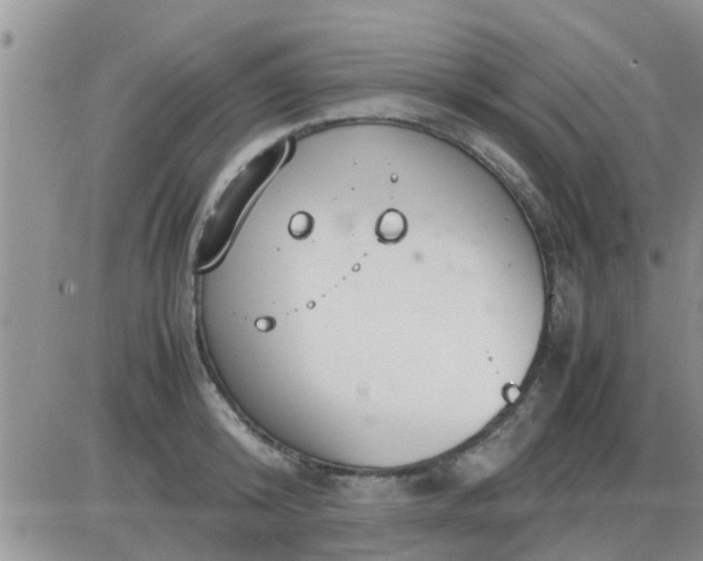 X0000085310800200703231922