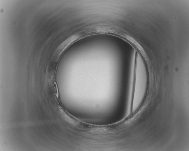 X0000085310801200703231922