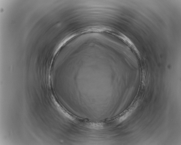 X0000085310802200703231922