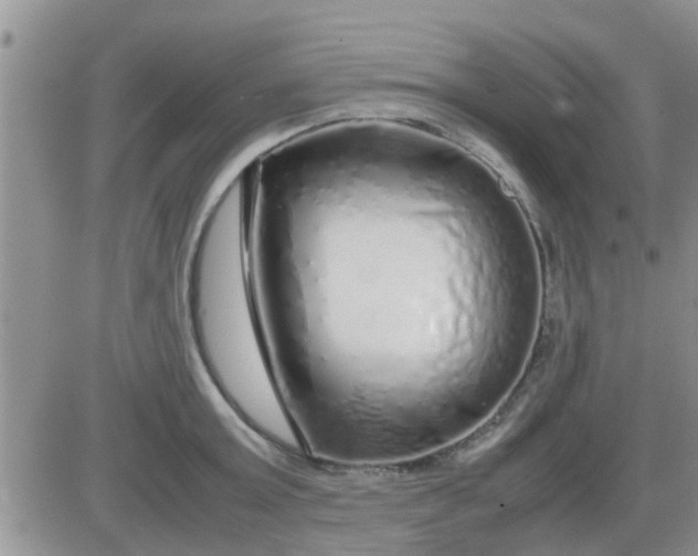 X0000085310803200703231922