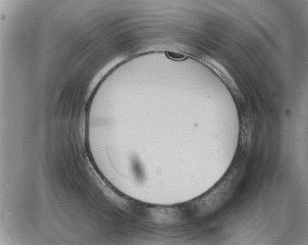 X0000085310804200703231922