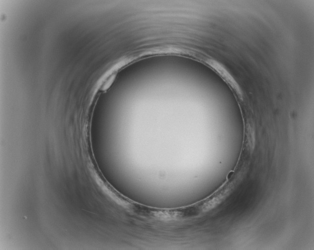 X0000085310805200703231922