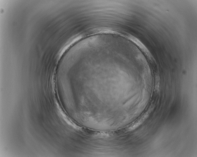 X0000085310806200703231922