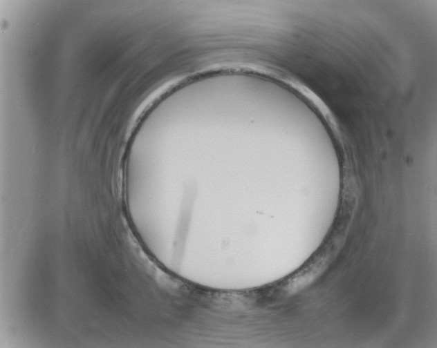 X0000085310807200703231922