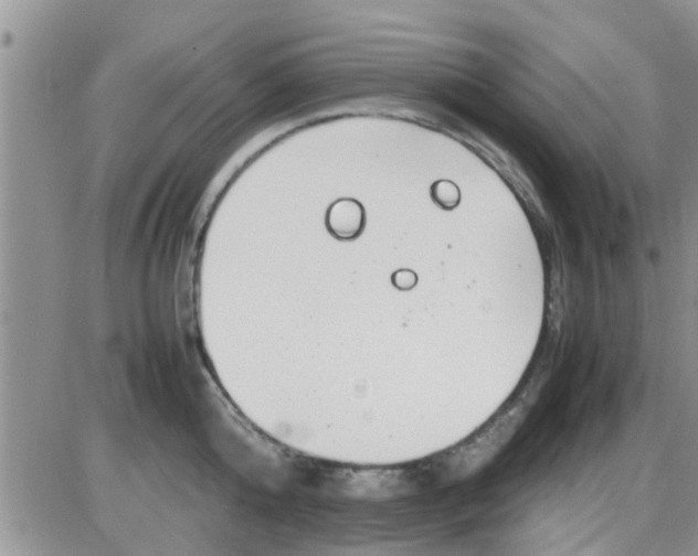 X0000085310808200703231922