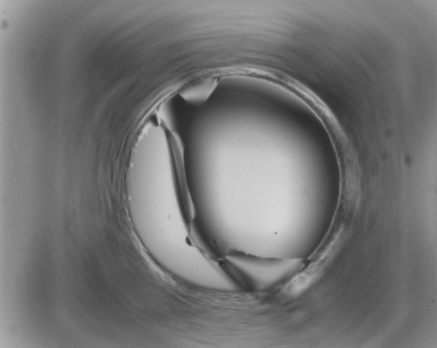 X0000085310809200703231922