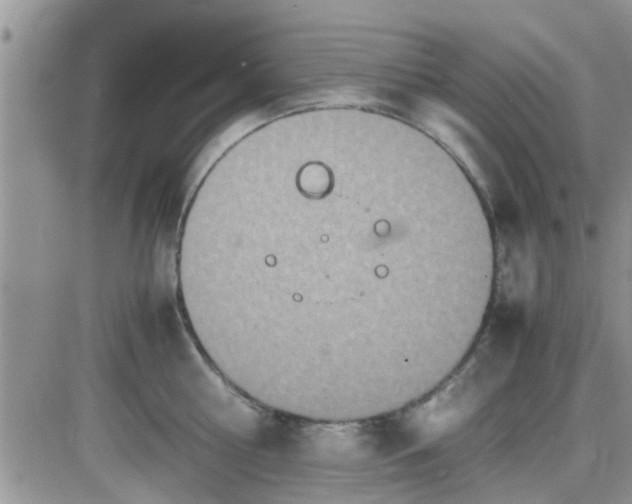 X0000085310810200703231922