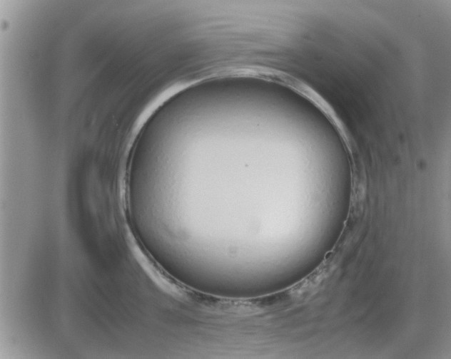 X0000085310811200703231922