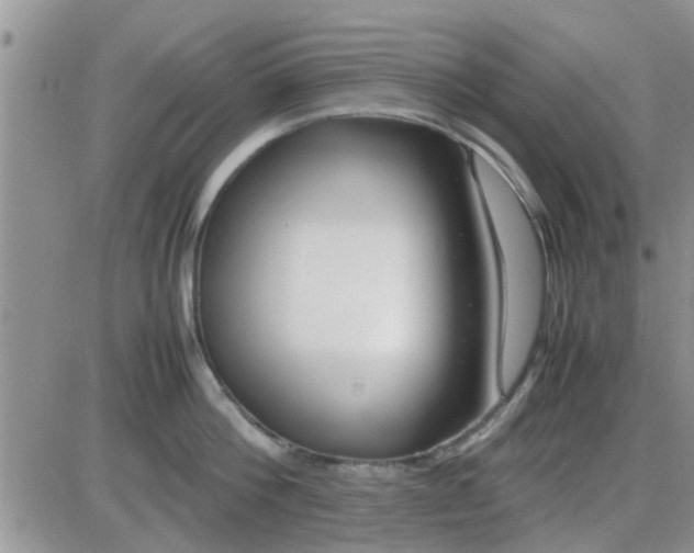 X0000085310812200703231922