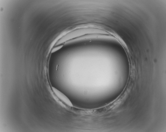 X0000085310813200703231922