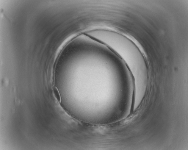 X0000085310815200703231922