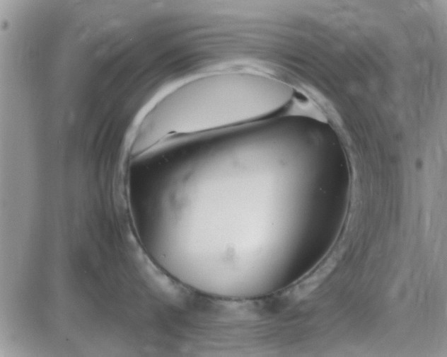 X0000085310816200703231922