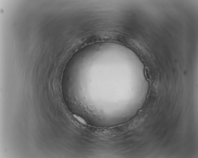 X0000085310817200703231921