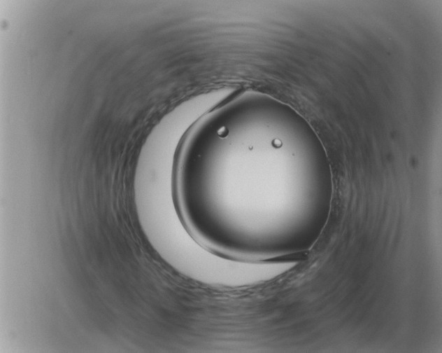 X0000085310818200703231921