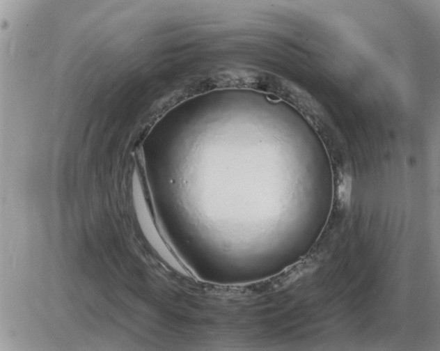 X0000085310819200703231921