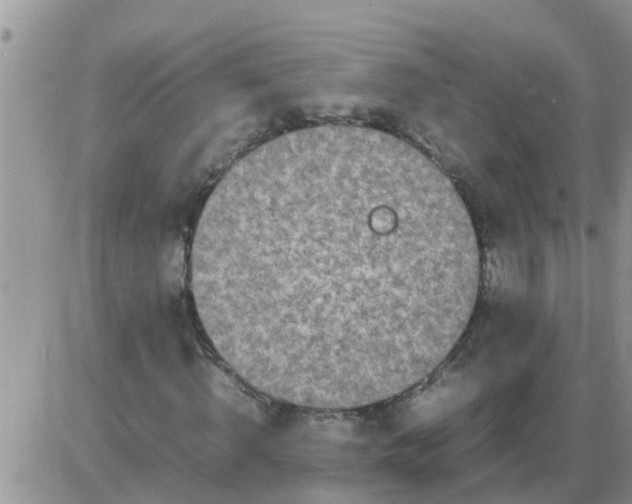 X0000085310820200703231921