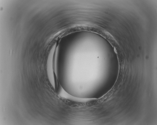 X0000085310822200703231921