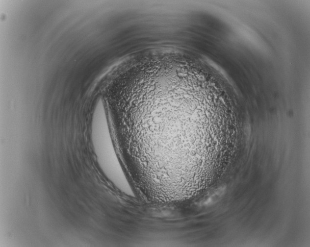 X0000085310823200703231921