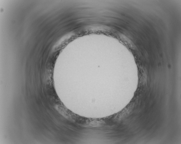 X0000085310824200703231921