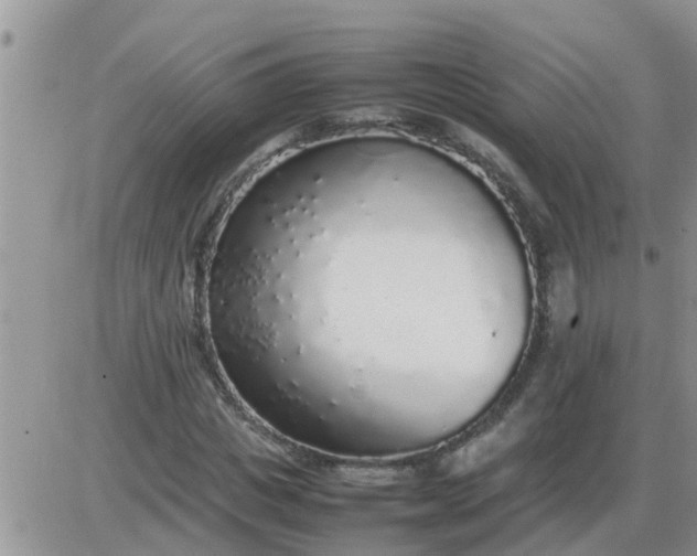 X0000085310825200703231921