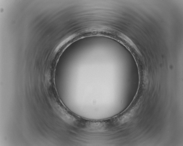 X0000085310826200703231921