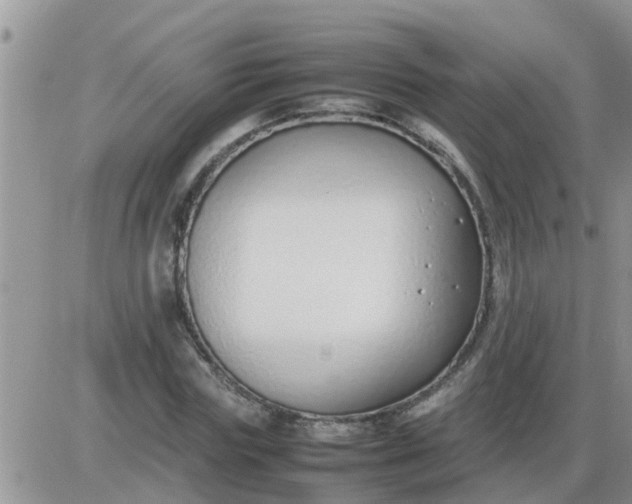 X0000085310827200703231921