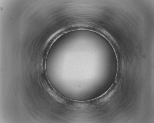 X0000085310830200703231921