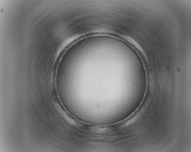 X0000085310831200703231921