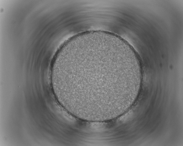 X0000085310832200703231921