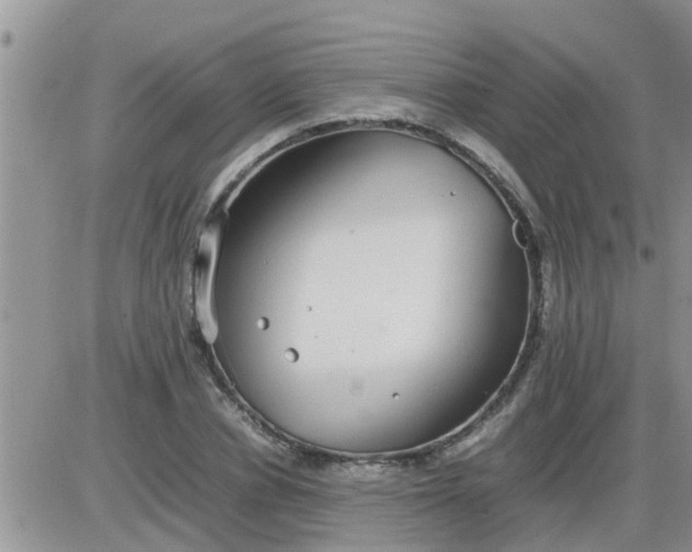 X0000085310834200703231921