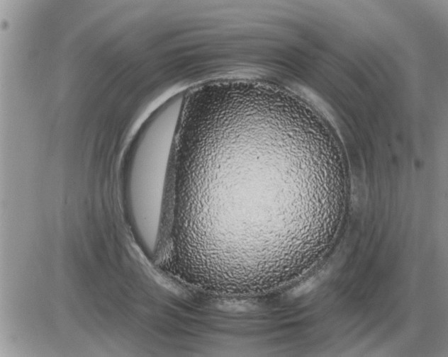 X0000085310835200703231921