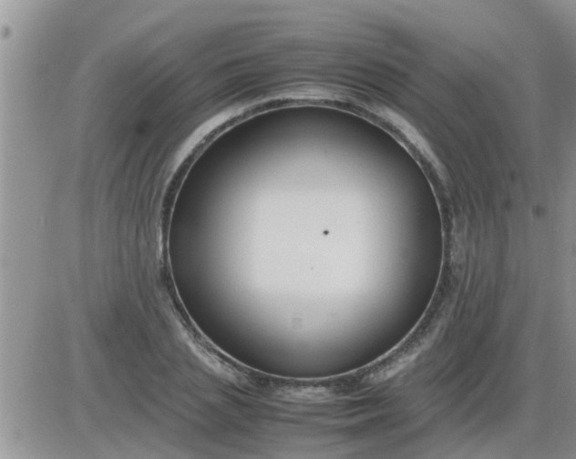 X0000085310837200703231921