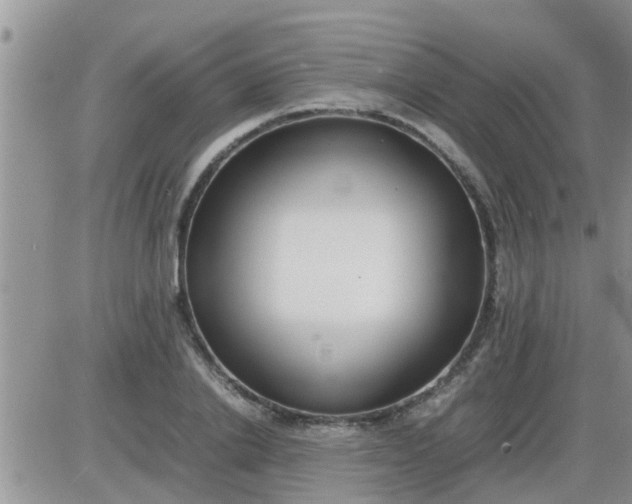 X0000085310838200703231921