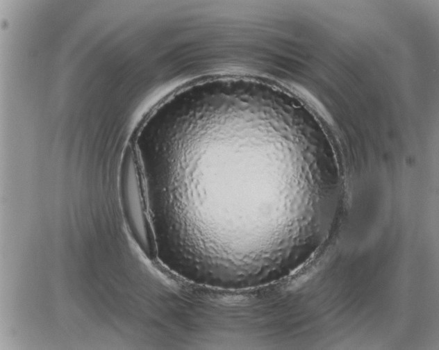 X0000085310839200703231921