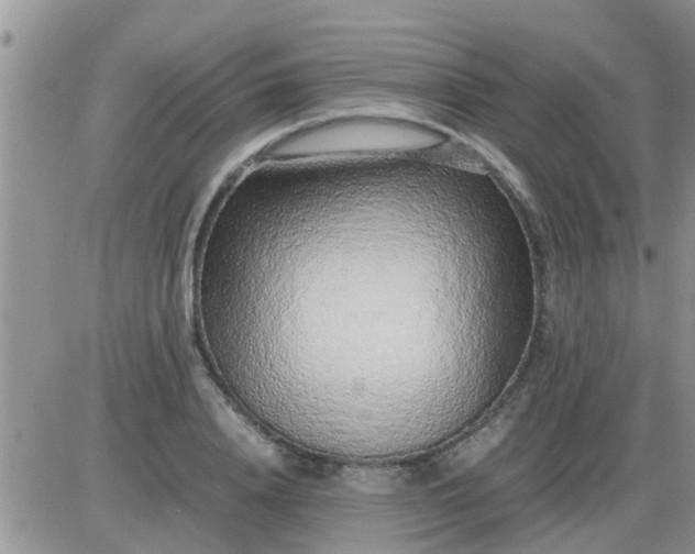 X0000085310840200703231921