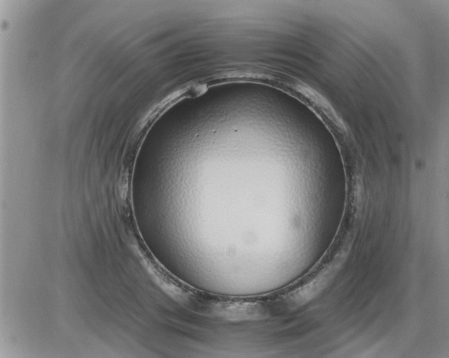 X0000085310841200703231922